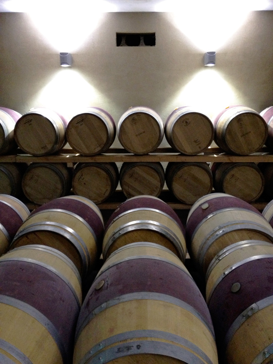 LA BERGERIE LA LIVINIERE CAVE CLOS D'ORTA GERARD BERTRAND
